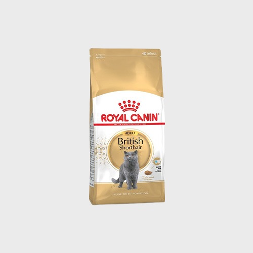 로얄캐닌 캣 고양이사료 브리티쉬 숏헤어 어덜트 4kg 