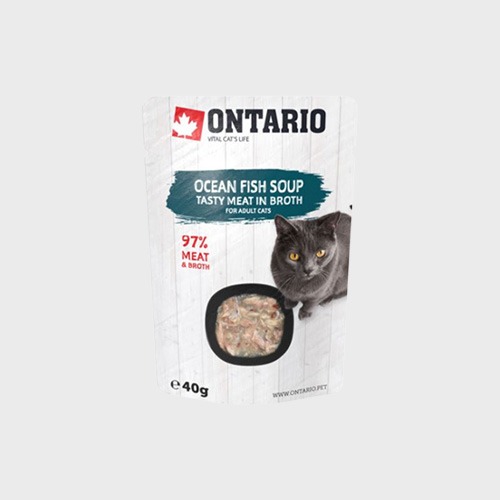온타리오 고양이간식 데일리캣 수프 오션피쉬 40g 