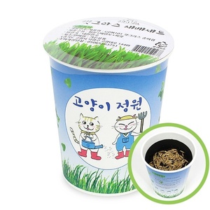 고양이 정원 캣그라스컵 배양토 재배세트 