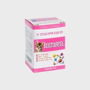 인트라젠 종합영양제 타블렛  200정 